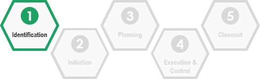 The Identification Phase of the IT Project Management Lifecycle